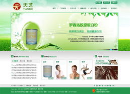 武漢天芝食品有限公司官網建設項目方案